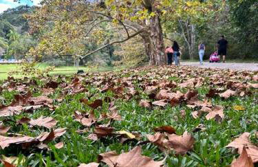Refúgio na Serra Condomínio em Olaria, Nova Friburgo-RJ - Foto 45