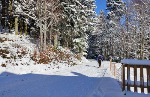 Gîte spacieux à 2 km des pistes de ski - Foto 7