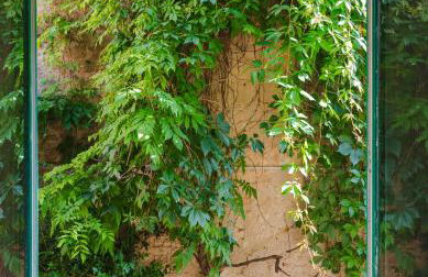 Spacious Old Town Condo - Foto 11