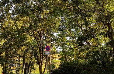 Wohnung am Grünen, Nähe Stadtzentrum und Hauptbahnhof, WLAN inklusive - Foto 11