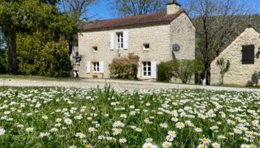 Domaine la Cabane luxe vakantiehuizen met zwembad - Foto 2