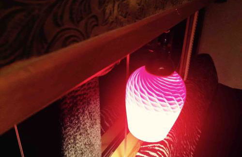 Stay Like a Rock Star Tour Bus in Durham NC - Foto 8