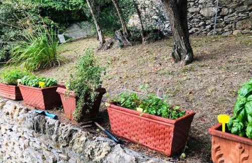 Sea South front property1/2acre.Gardens pool hydro - Foto 57