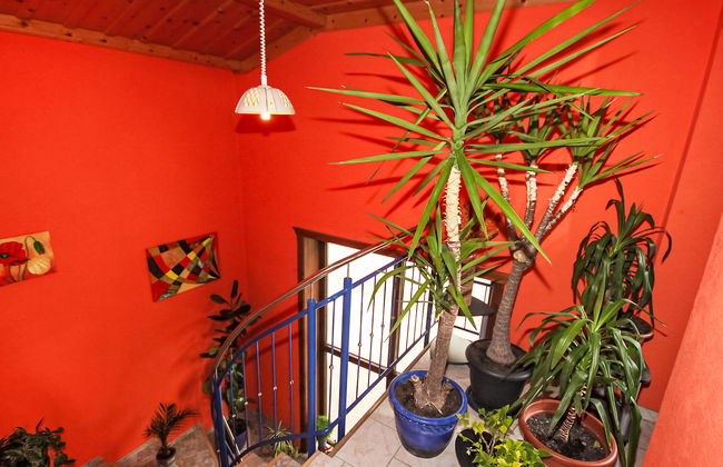 Haus Harlander - Foto 12