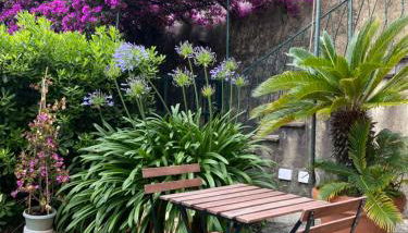 casa lella home - Foto 5, Garden, Garden view