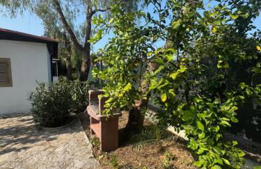 Appartamenti Le Porte del Gargano - Foto 42