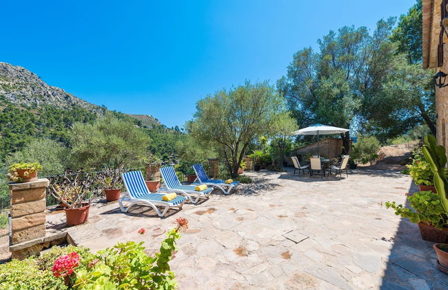 Sa Tarongera in Andratx - Foto 36