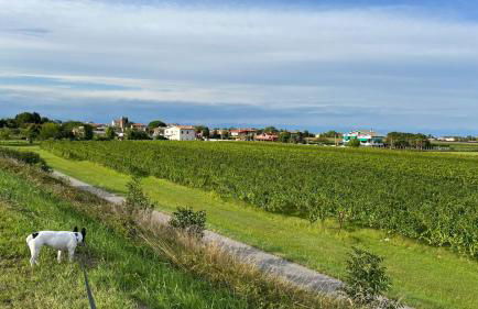 Casa sul fiume - Foto 34