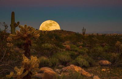 Rio Rancho Verde Two Bedroom Suite - Foto 74