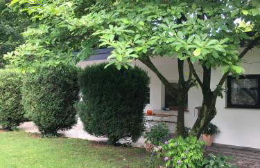 Privat Residence Boardinghouse Meerbusch Nähe Messe Düsseldorf Flughafen - Photo 33