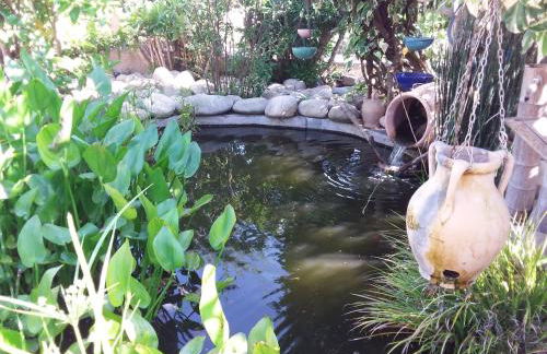 Magnifique villa piscine Propriano - Foto 8