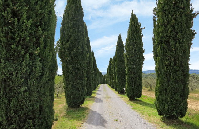 Le Palaie - 'Fienile' - Foto 21