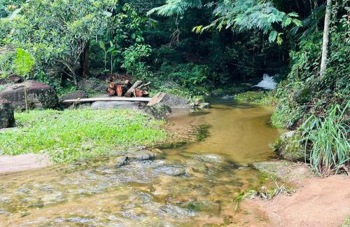 Sitio Bengala - Refúgio das Águas e Mata Nativa - Foto 5