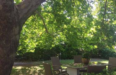 Platanus Gardenhouse - Foto 22