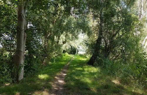 Ferienwohnung Bernsteinsucher städtische Bestlage - Foto 13