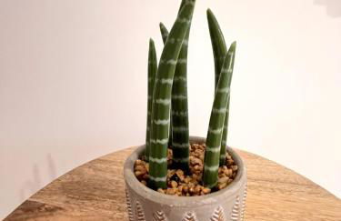 Riviera Exclusive Apartment - Foto 27