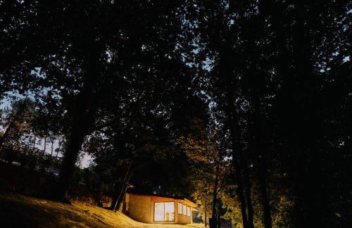 Quinta de Silharezes, Lda - Foto 12