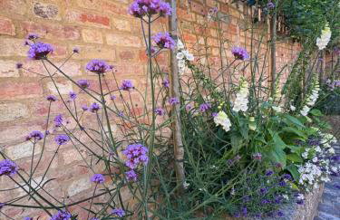 The Old Wheatsheaf - Foto 4