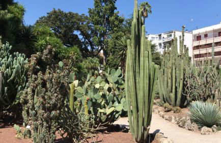 Appartement Elsa Valencia - Photo 51