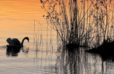 Happy Place am Plauer See - Foto 18