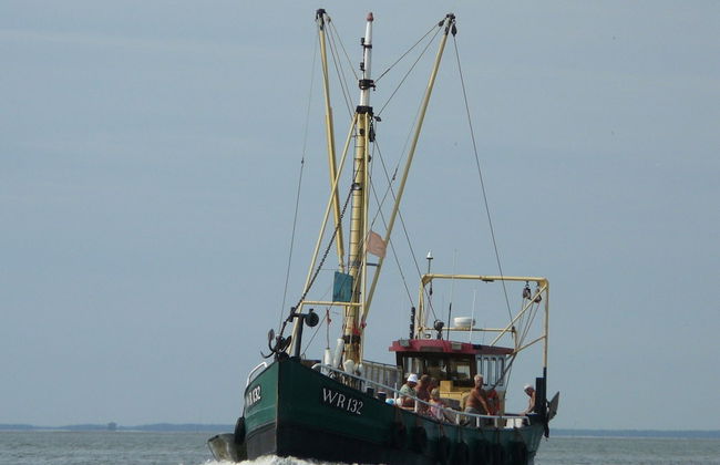 Villa in Wieringer Near the Wadden Sea - Foto 33