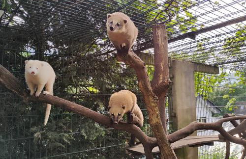 Nikis FeWo an den Dörenther Klippen - Foto 30