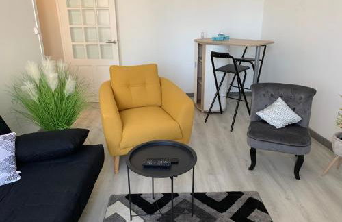 Appartement 4 PERSONNES EMPLACEMENT IDEAL PROCHE DES 24H ET GARE - Foto 30