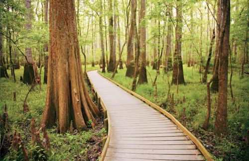 Fun 4BD w 75 inch TV - Foto 41