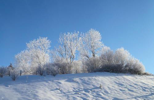 le refuge des Marmottes - Foto 6