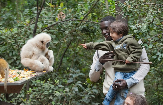 Chalet 40 Entire House Tranquil and Family-friendly Location - Photo 18