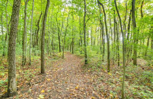 Riverwood South Haven Retreat on 10 Acres - Foto 35