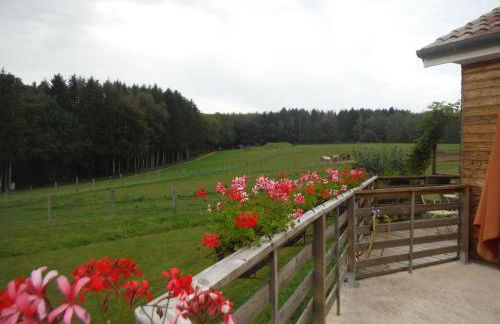 Holiday Home Near Lake and Leisure in Clos du Bannet - Foto 43