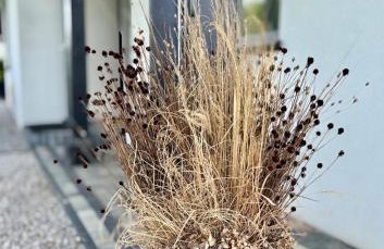 Zaczarowane Wzgórze - Domek w Beskidach - Foto 3