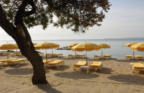 le verger des naiades - Foto 43