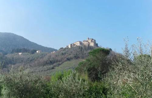 Tenuta Daussie' - Foto 18