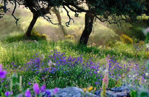 Casa centenaria con encanto - Foto 63