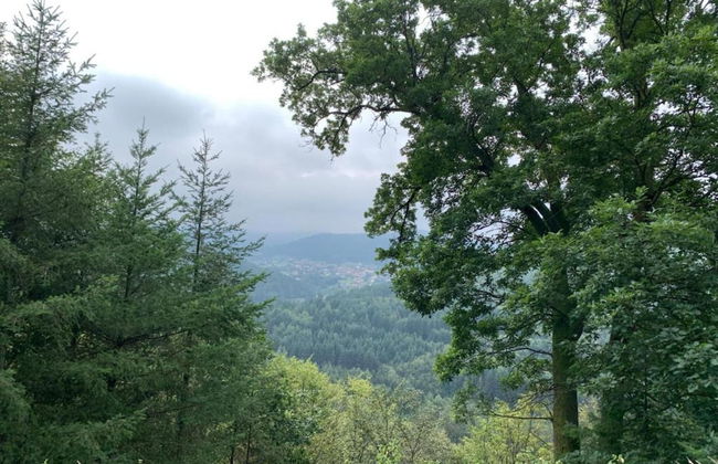 Romantic Stay in Saint-quirin - Foto 28