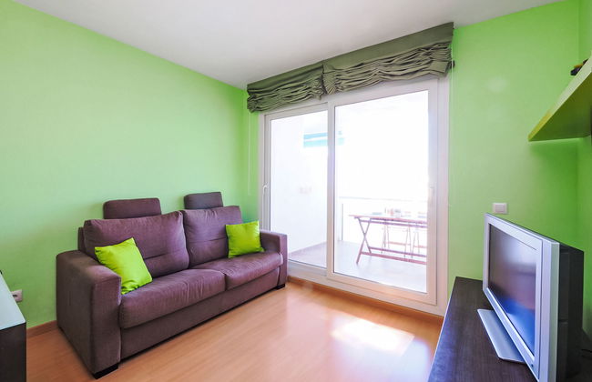 Royal Marine - Foto 7