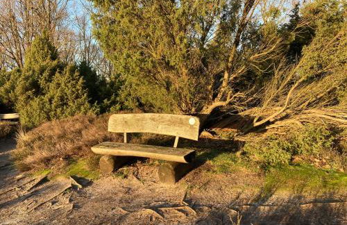 Ferienwohnung Am Holzfeld - Photo 28