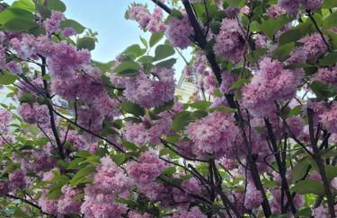 Dorfstübchen - Foto 17