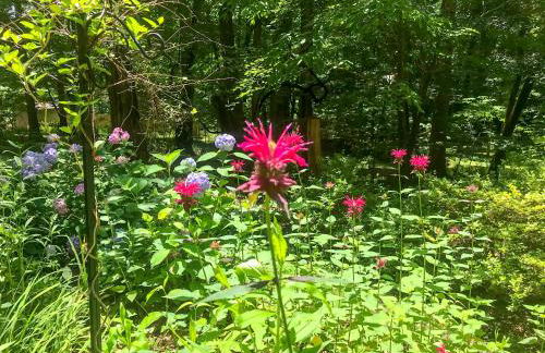 Mary's Place - Studio surrounded by nature but close to High Point - Photo 23