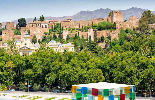 Solaga - Malagueta - Photo 41