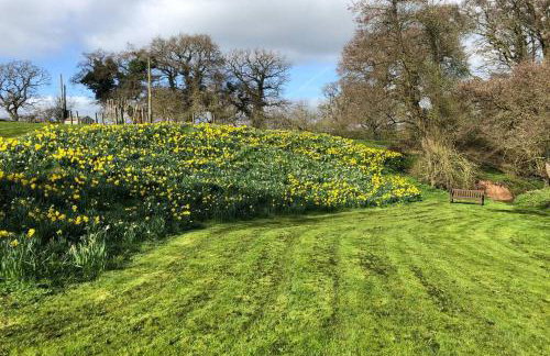 The Coach House - Foto 30