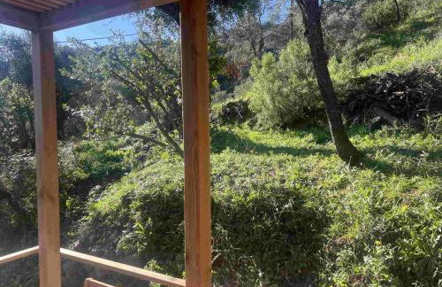 Le nid de l'oliveraie - Foto 3