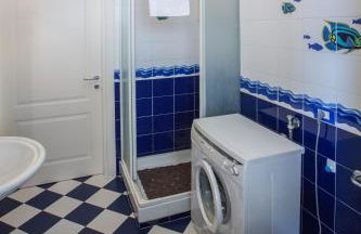 Le primule - Foto 22