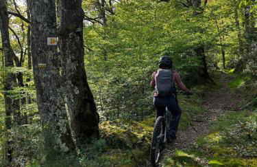 Appartement vue riviere - Foto 44