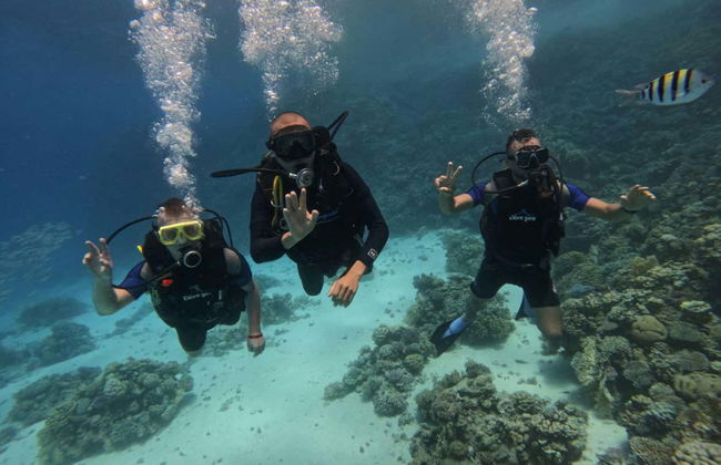 Bautismo de buceo en el Mar Rojo - Foto 9