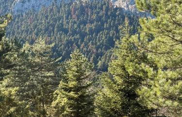 Cedar Wood Cabin - Foto 11