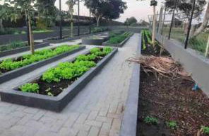 LD House- Bananeiras - Photo 63