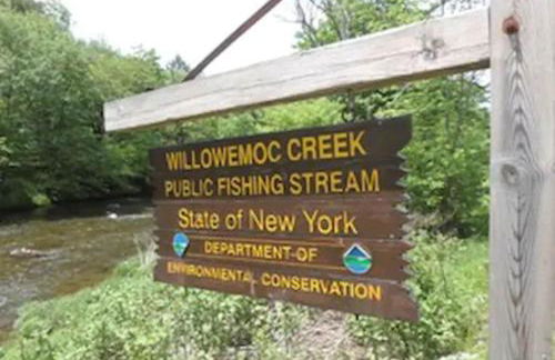 Catskills Lakefront with Hot Tub, Sauna and Theater - Foto 28